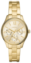 Zegarek Damski Fossil Rye BQ3692+ BOX
