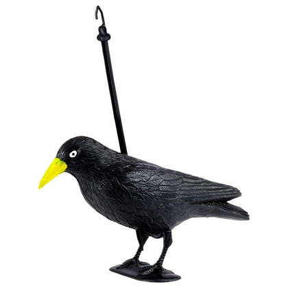 Odstraszacz ptaków gołębi szpaków kruk czarny