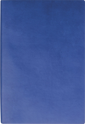 Notes A5 w linie DAYTONA BEACH