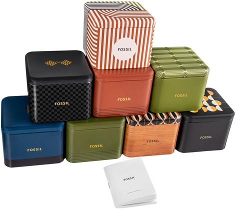 Zegarek Damski Fossil Rye BQ3692+ BOX