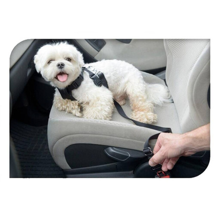 PAS SAMOCHODOWY DLA PSA 46-55CM CZARNY