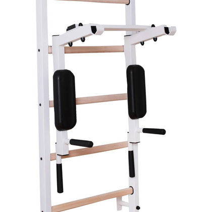 Wielofunkcyjna drabinka BenchK 414