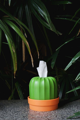 Pojemnik na chusteczki i papier Cactiss 10276-OR-GN