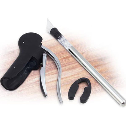 Zestaw do wina ze stali z korkociągiem, wkładem chłodzącym do wina i otwieraczem / Starwine