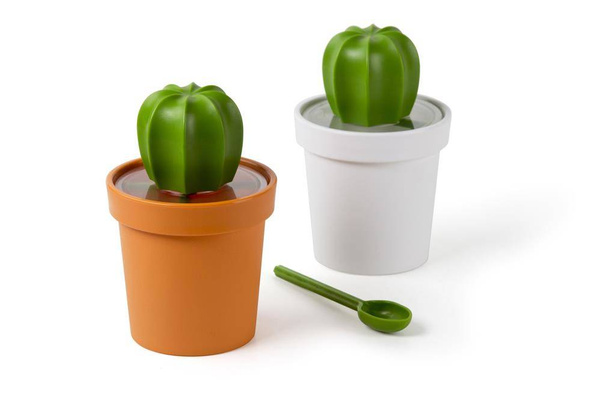 Pojemnik z łyżeczką na kawę kaktus Cacnister biało-zielony 10280-WH-GN