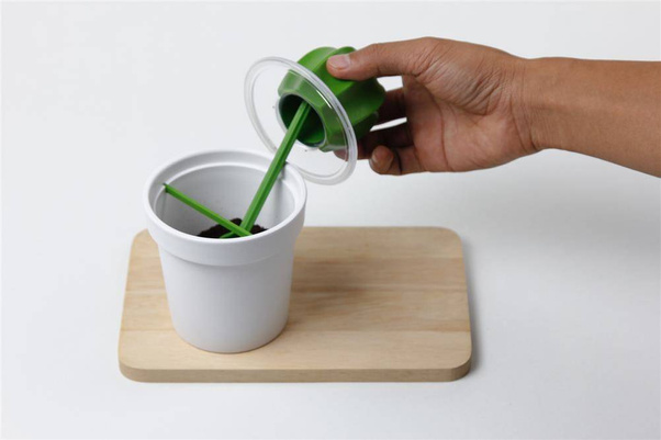 Pojemnik z łyżeczką na kawę kaktus Cacnister biało-zielony 10280-WH-GN