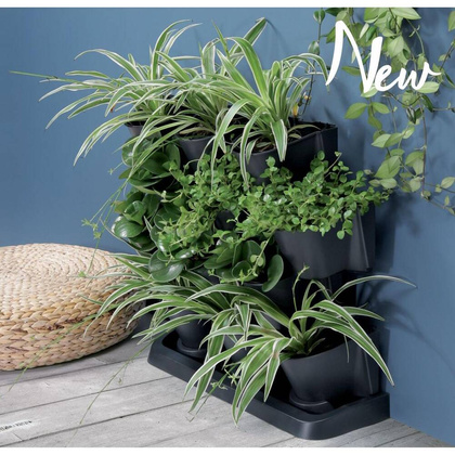 Kwietnik ogród wertykalny stojący antracyt PROSPERPLAST