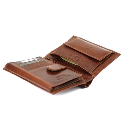 Portfel męski PELLUCCI TELESE 1379 Ciemny brąz