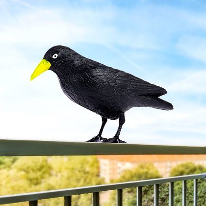 Odstraszacz ptaków gołębi szpaków kruk czarny