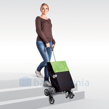 Wózek na zakupy ANDERSEN Scala 6 Sofia 119-202-70