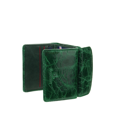 Mały portfel damski Canaletto ze skóry naturalnej licowej – elegancja i funkcjonalność PD2001s257