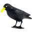 Odstraszacz ptaków gołębi szpaków kruk czarny