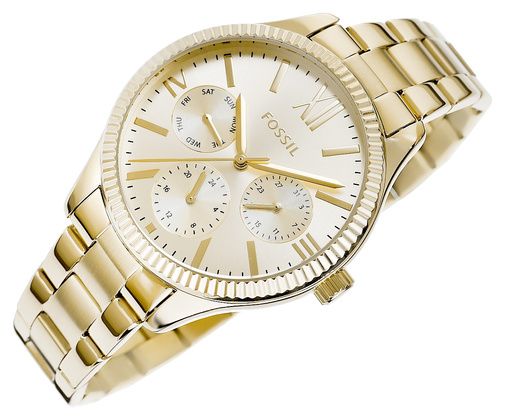 Zegarek Damski Fossil Rye BQ3692+ BOX