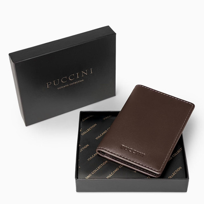 Etui na karty, wizytówki PUCCINI VULCANO VC92520 2 Brązowe