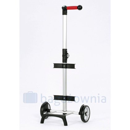 Wózek na zakupy ANDERSEN Unus Fun Basil Bloom 121-207-90