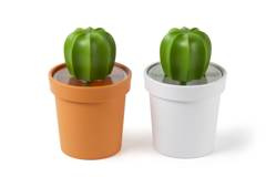 Pojemnik z łyżeczką na kawę kaktus Cacnister biało-zielony 10280-WH-GN