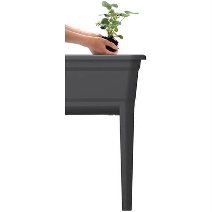 Szklarnia stojąca rozsadnik Respana set antracyt