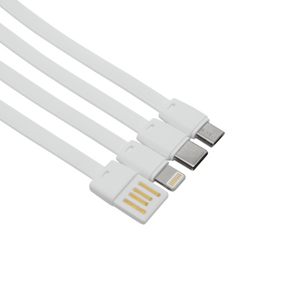 Powerbank MULTI CHARGE.