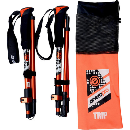 KIJE NORDIC WALKING TRIP W POKROWCU ENERO PRO