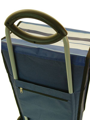 Wózek zakupowy marki Dielle Carr3n w kolorze niebieskim