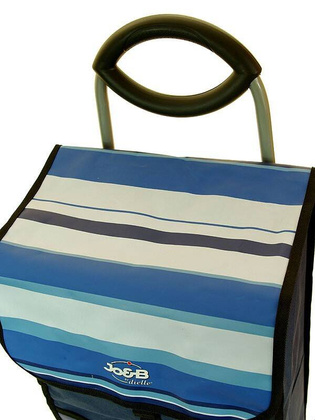 Wózek zakupowy marki Dielle Carr3n w kolorze niebieskim