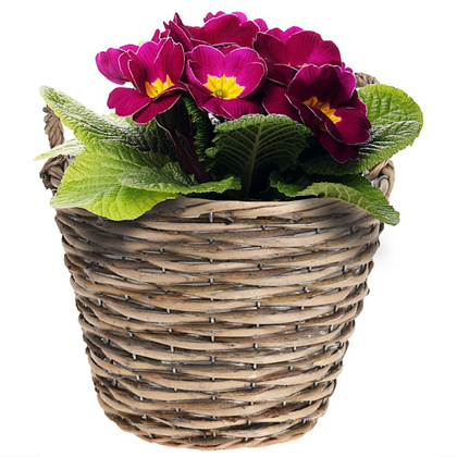 Doniczka osłonka wiklinowa kosz koszyk z uchwytami na kwiaty rośliny 22x22 cm