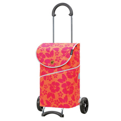 Wózek za zakupy ANDERSEN Scala MIX 112-333-A47