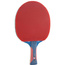 RAKIETKA DO TENISA STOŁOWEGO JOOLA ROSSI JUNIOR PRO