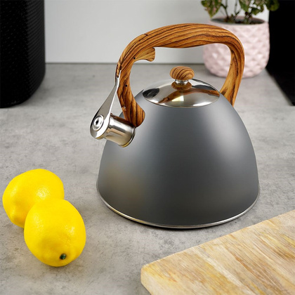 Czajnik stalowy tradycyjny z automatycznym gwizdkiem szary 3 l