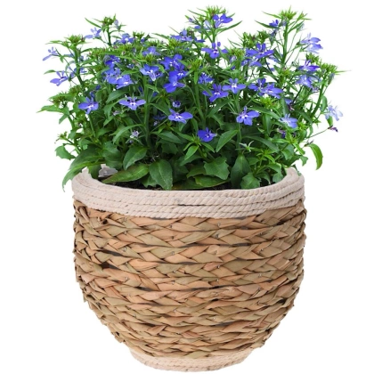 Doniczka osłonka pleciona na kwiaty rośliny 32x26 cm