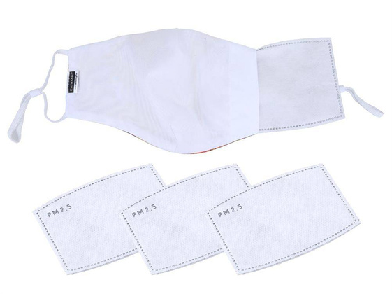 Maseczka ochronna z filtrem - V. van Gogh, Kwitnący Migdałowiec (CARMANI)