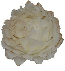 Zawieszka świąteczna z piór biała