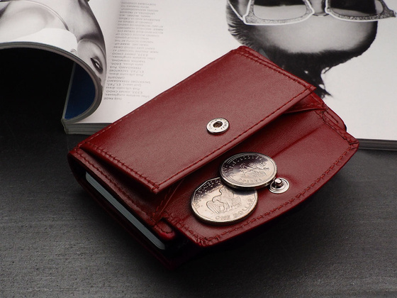 Portfel SOLO Max 1739