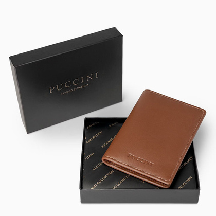 Etui na karty, wizytówki PUCCINI VULCANO VC92520 2B Brązowe