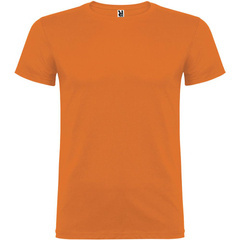 Beagle koszulka dziecięca z krótkim rękawem