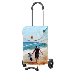 Wózek za zakupy ANDERSEN Scala MIX 112-333-A54