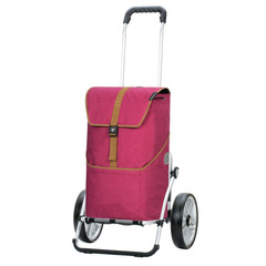 Wózek na zakupy ANDERSEN Royal 167 Auke