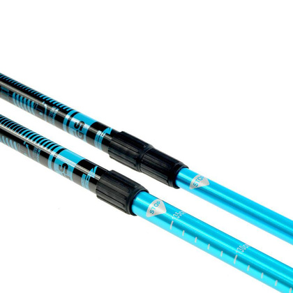 Kijki Nordic Walking Scout Bjorn niebieskie