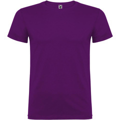 Beagle koszulka męska z krótkim rękawem