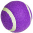 Piłka Tenis Ziemny Enero 1Szt Fioletowa