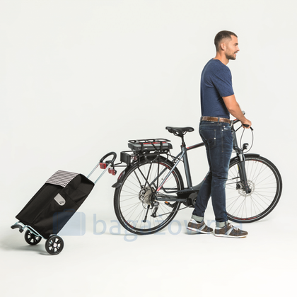 Wózek na zakupy ANDERSEN Scala Hera 112-004-74 Czerwony