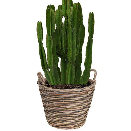 Doniczka osłonka wiklinowa kosz koszyk z uchwytami na kwiaty rośliny 22x22 cm